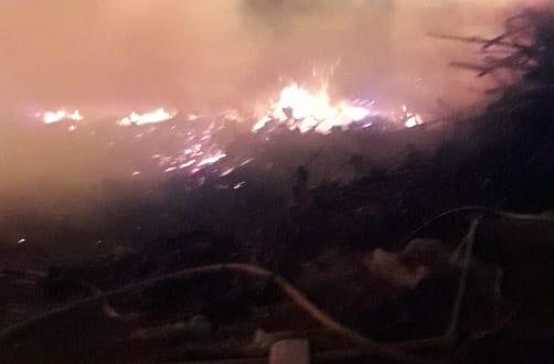 ONCE DOTACIONES DE BOMBEROS LOGRARON CONTENER UN FEROZ INCENDIO DESATADO EN EL VIVERO MUNICIPAL DE MORÓN SUR