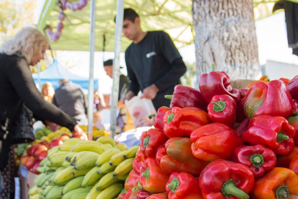 LAS ESTACIONES DE TRENES BONAERENSES TENDRÁN FERIAS DEL MERCADO EN TU BARRIO