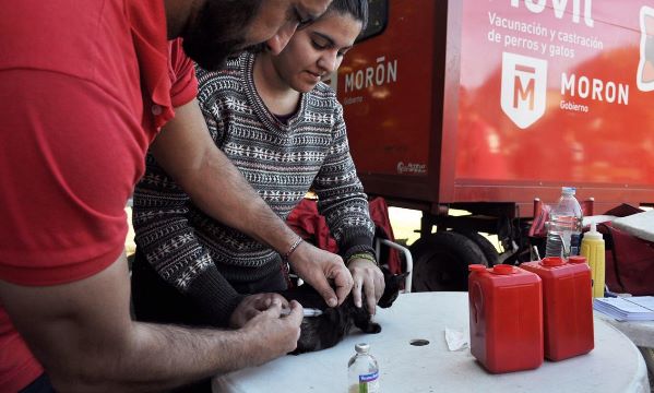 ZOONOSIS MORÓN VACUNÓ A 48 MIL MASCOTAS EN TRES AÑOS Y MEDIO