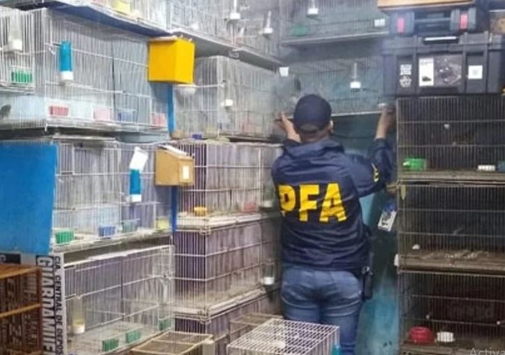 Cayó una banda con conexiones en el Oeste que vendía animales y aves